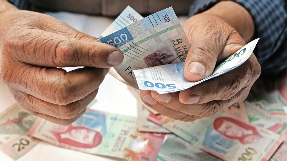 ¿Qué actividades gozan de exención del IVA en México?