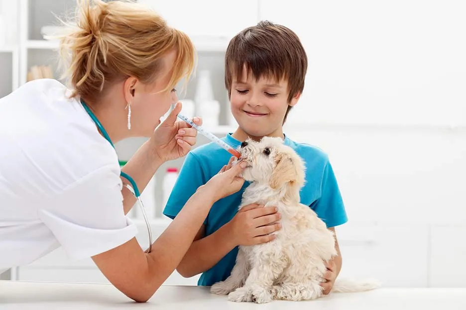 Compras con lotes y fechas de caducidad